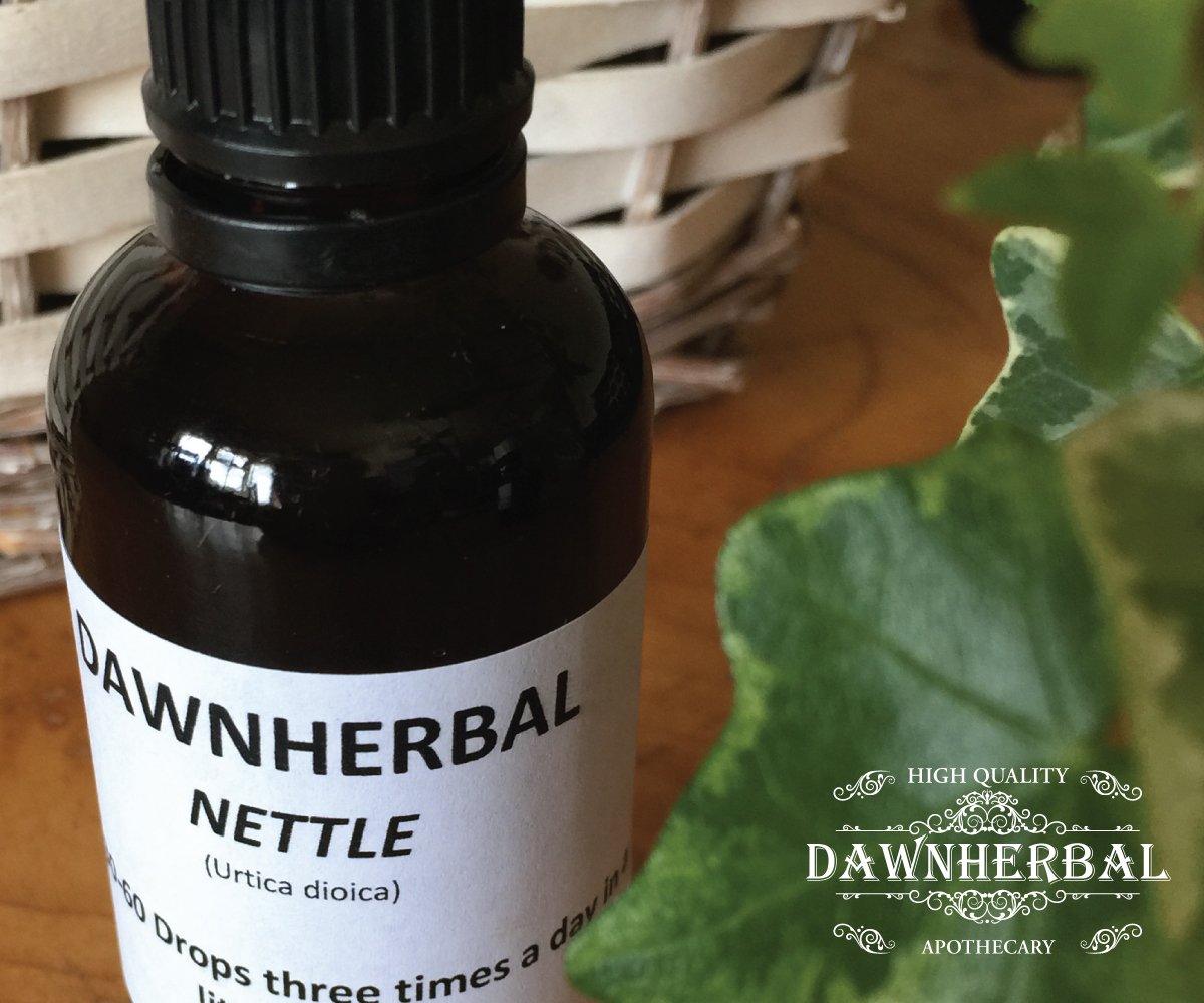 dawnherbal-background-pic-tincture nettle tincture 50ml