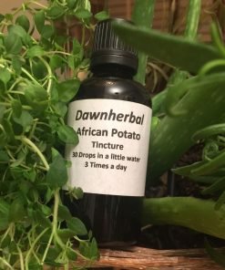 african potato tincture