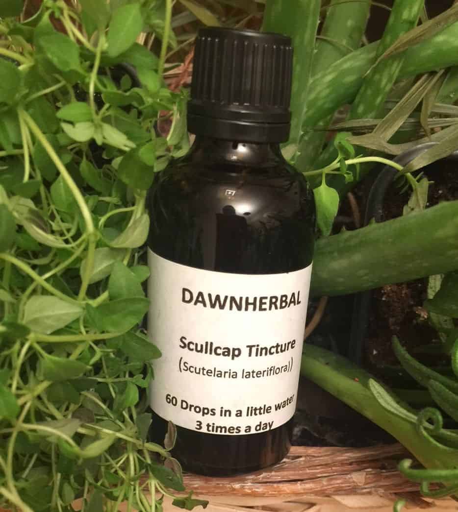 skullcap-dh1 Skullcap tincture
