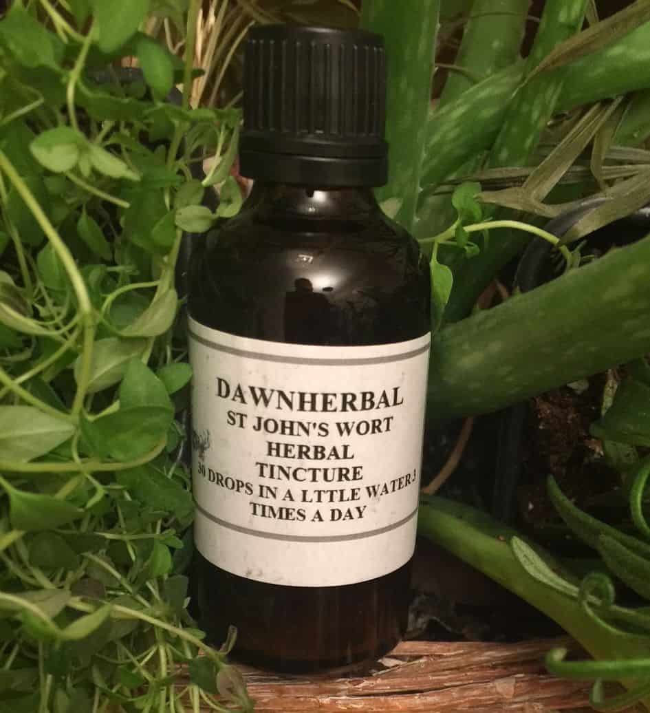 st-john's wort-dh1 st john's wort tincture