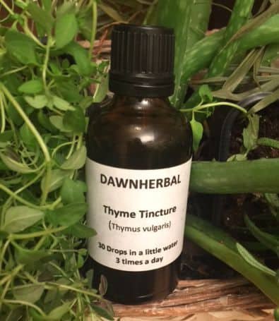 thyme-dh1 thyme tincture