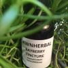 bayberry tincture