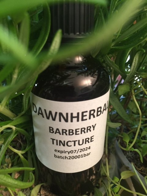 Barberry dawnherbal barberry tincture