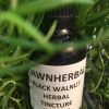 dawnherbal black walnut