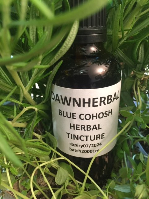 Blue Cohosh dawnherbal blue cohosh tincture
